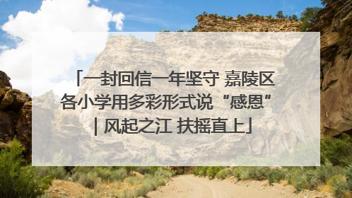 一封回信一年坚守 嘉陵区各小学用多彩形式说“感恩”｜风起之江 扶摇直上