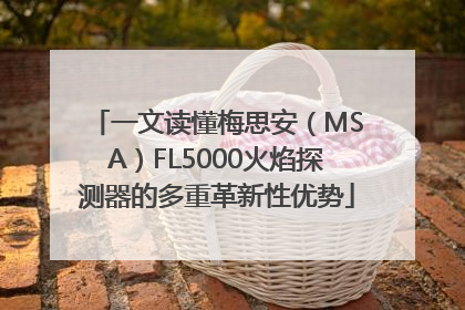 一文读懂梅思安（MSA）FL5000火焰探测器的多重革新性优势