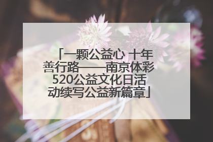 一颗公益心 十年善行路——南京体彩520公益文化日活动续写公益新篇章
