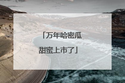 万年哈密瓜甜蜜上市了