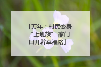 万年：村民变身“上班族” 家门口开辟幸福路