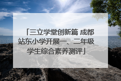 三立学堂创新篇 成都站东小学开展一、二年级学生综合素养测评