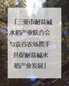 三亚市耐盐碱水稻产业联合会与袁谷农场携手 共促耐盐碱水稻产业发展