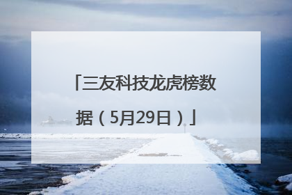 三友科技龙虎榜数据（5月29日）
