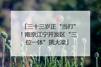 三十三岁正“当打”！南京江宁开发区“三位一体”挑大梁