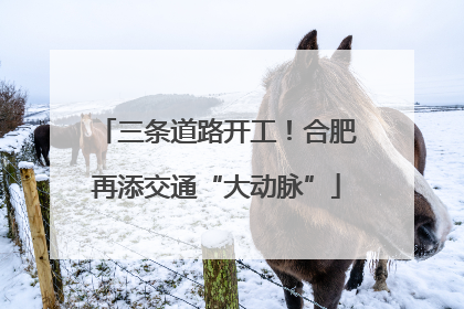 三条道路开工！合肥再添交通“大动脉”