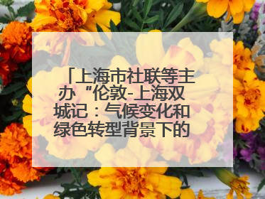 上海市社联等主办“伦敦-上海双城记：气候变化和绿色转型背景下的考古、历史和文化遗产”学术对话