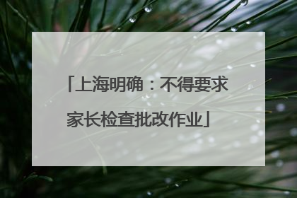 上海明确：不得要求家长检查批改作业