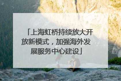 上海虹桥持续放大开放新模式，加强海外发展服务中心建设