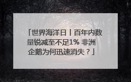 世界海洋日丨百年内数量锐减至不足1% 非洲企鹅为何迅速消失？