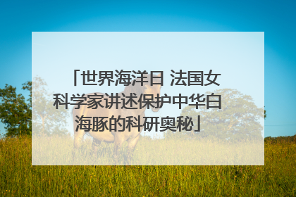 世界海洋日 法国女科学家讲述保护中华白海豚的科研奥秘
