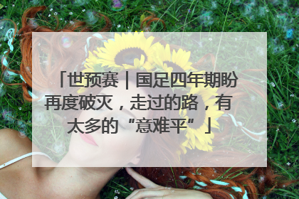 世预赛｜国足四年期盼再度破灭，走过的路，有太多的“意难平”