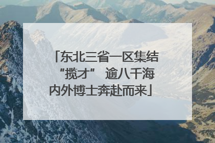 东北三省一区集结“揽才” 逾八千海内外博士奔赴而来