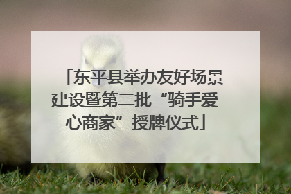 东平县举办友好场景建设暨第二批“骑手爱心商家”授牌仪式