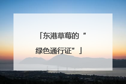 东港草莓的“绿色通行证”