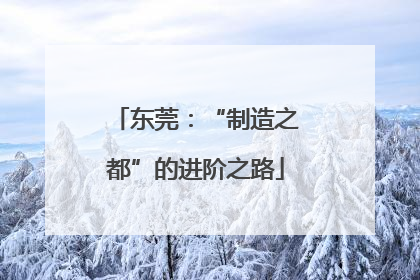东莞：“制造之都”的进阶之路