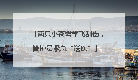 两只小苍鹭学飞刮伤，管护员紧急“送医”