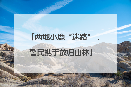 两地小鹿“迷路”，警民携手放归山林