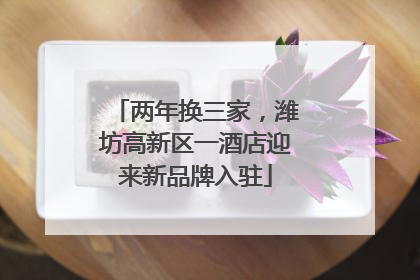 两年换三家，潍坊高新区一酒店迎来新品牌入驻