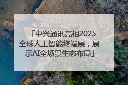 中兴通讯亮相2025全球人工智能终端展，展示AI全场景生态布局