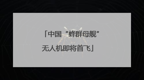 中国“蜂群母舰”无人机即将首飞