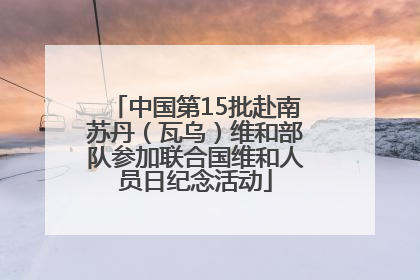中国第15批赴南苏丹（瓦乌）维和部队参加联合国维和人员日纪念活动