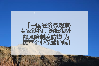 中国经济微观察·专家谈构：筑抵御外部风险制度防线 为民营企业保驾护航