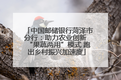 中国邮储银行菏泽市分行：助力农业创新 “果蔬两用”模式 跑出乡村振兴加速度