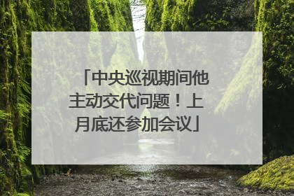 中央巡视期间他主动交代问题！上月底还参加会议