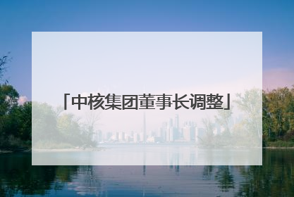 中核集团董事长调整