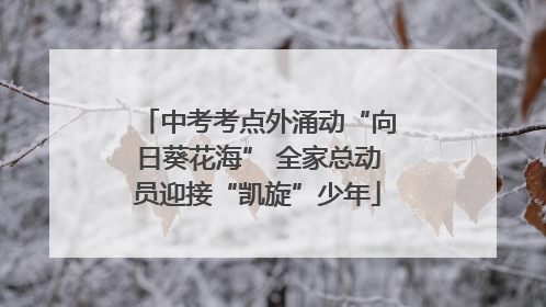 中考考点外涌动“向日葵花海” 全家总动员迎接“凯旋”少年