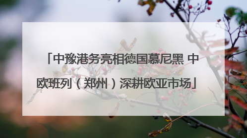中豫港务亮相德国慕尼黑 中欧班列（郑州）深耕欧亚市场