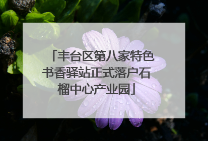 丰台区第八家特色书香驿站正式落户石榴中心产业园