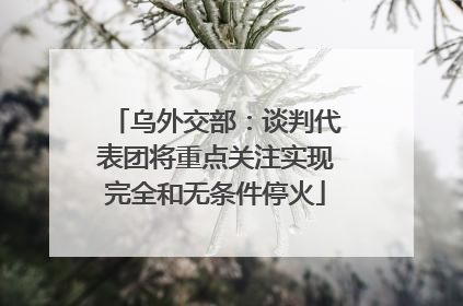 乌外交部：谈判代表团将重点关注实现完全和无条件停火