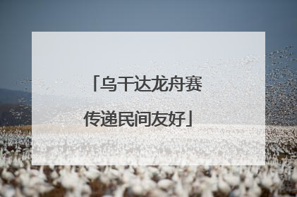 乌干达龙舟赛传递民间友好