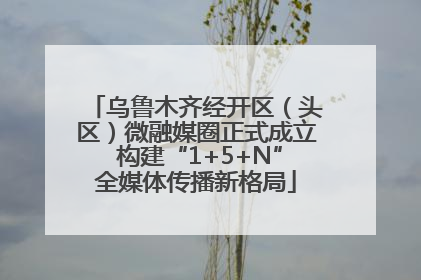 乌鲁木齐经开区（头区）微融媒圈正式成立 构建“1+5+N”全媒体传播新格局