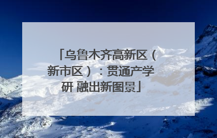 乌鲁木齐高新区（新市区）：贯通产学研 融出新图景