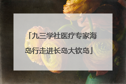 九三学社医疗专家海岛行走进长岛大钦岛