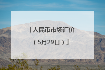 人民币市场汇价（5月29日）