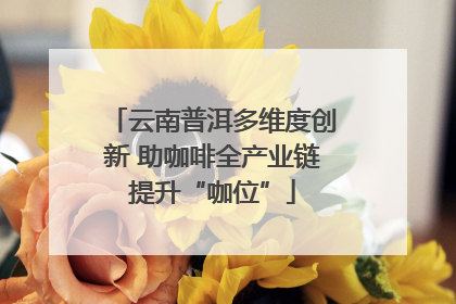 云南普洱多维度创新 助咖啡全产业链提升“咖位”