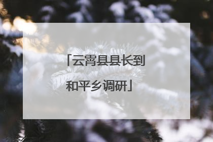云霄县县长到和平乡调研