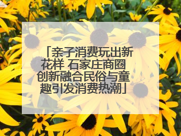 亲子消费玩出新花样 石家庄商圈创新融合民俗与童趣引发消费热潮
