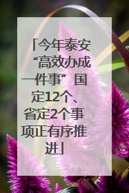 今年泰安“高效办成一件事”国定12个、省定2个事项正有序推进