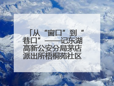 从“窗口”到“巷口”——记东湖高新公安分局茅店派出所梧桐苑社区民警樊艳玲