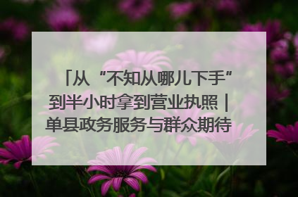 从“不知从哪儿下手”到半小时拿到营业执照｜单县政务服务与群众期待的“双向奔赴”