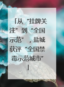 从“挂牌关注”到“全国示范”，盐城获评“全国禁毒示范城市”