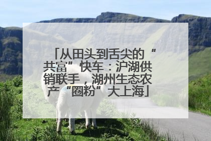 从田头到舌尖的“共富”快车：沪湖供销联手，湖州生态农产“圈粉”大上海