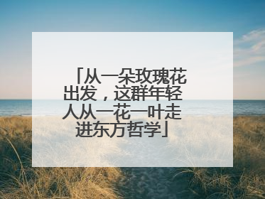 从一朵玫瑰花出发，这群年轻人从一花一叶走进东方哲学