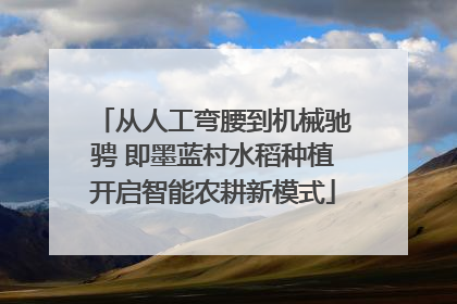 从人工弯腰到机械驰骋 即墨蓝村水稻种植开启智能农耕新模式