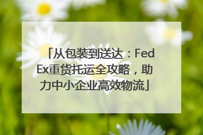 从包装到送达：FedEx重货托运全攻略，助力中小企业高效物流